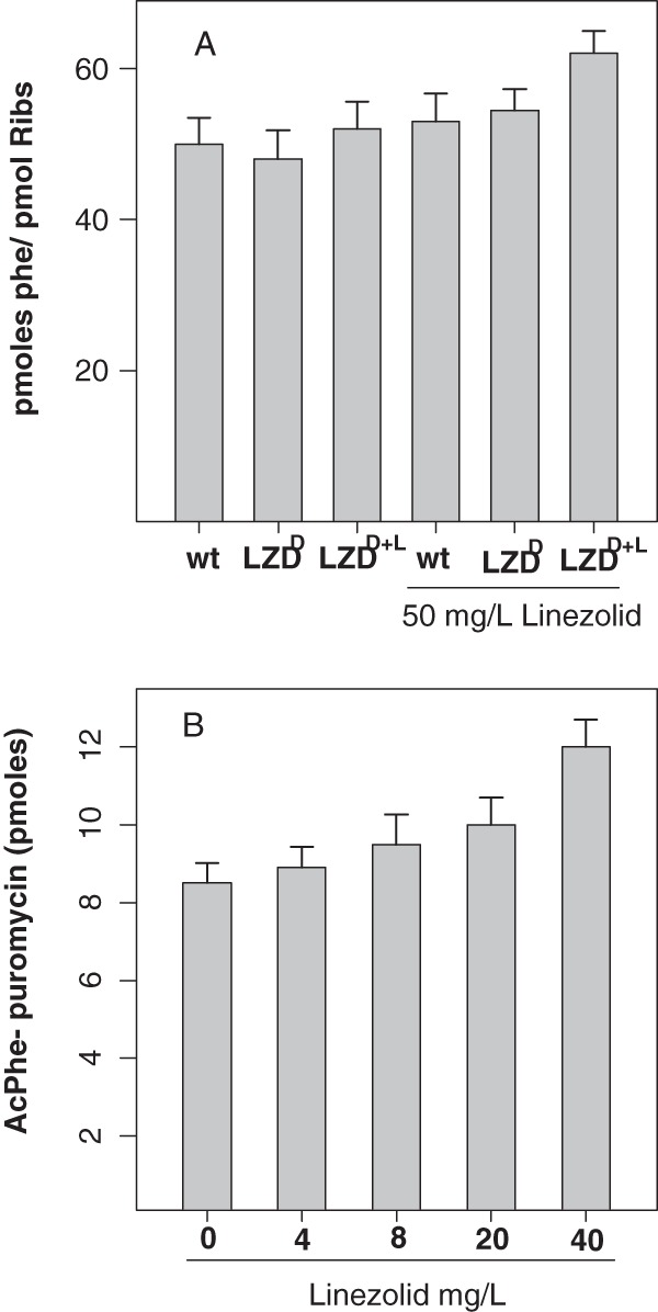 FIG 1