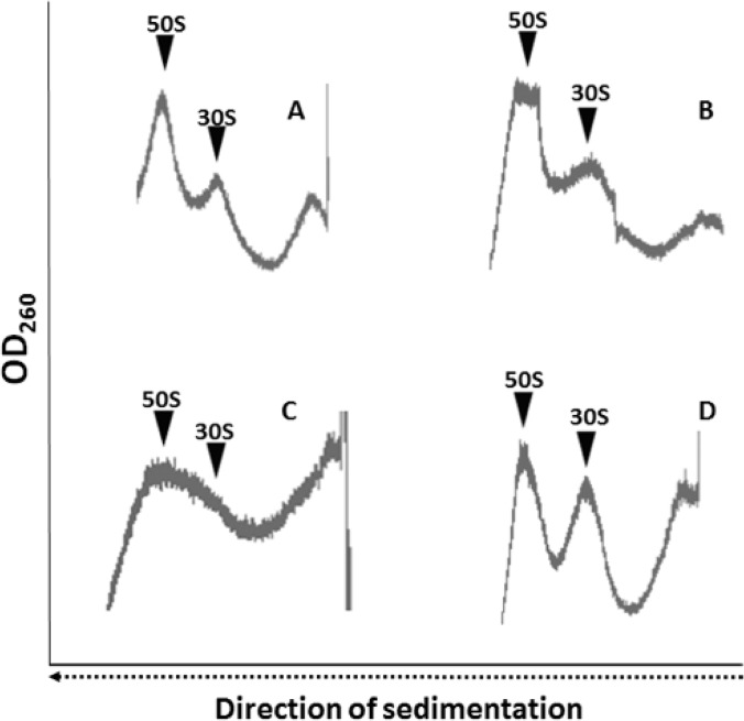 FIG 4