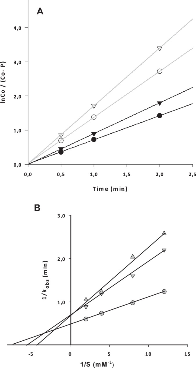 FIG 3