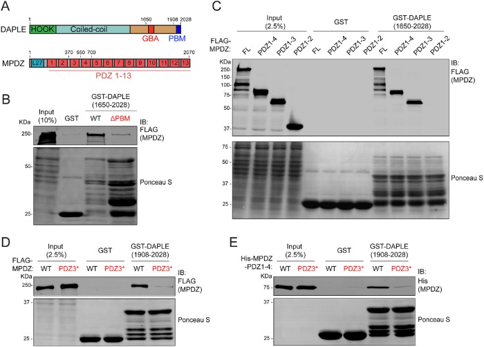 FIGURE 2: