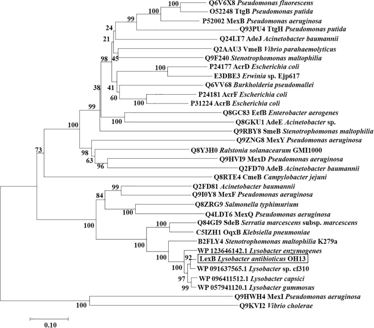 FIGURE 5