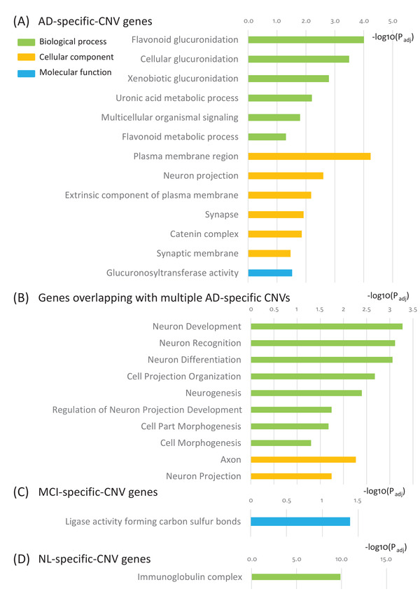 graphic file with name ALZ-18-1846-g005.jpg