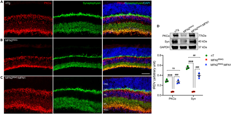 Figure 6