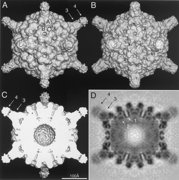 FIG. 2.