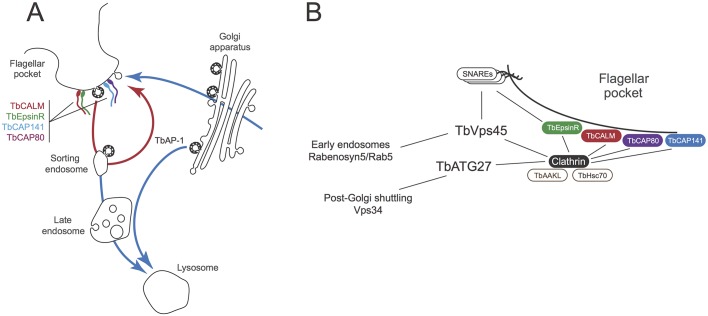 Fig. 7.