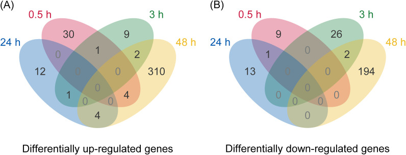 Fig. 1. Venn diagram illustrating the number of differentially (A) up-regulated and (B) down-regulated genes in NJ-treated seeds of O. minor as compared to non-treated seeds. The genes differentially expressed at multiple time points are listed in Supplemental Table S6.