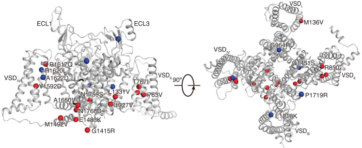 Fig. 6