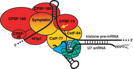 Figure 6.