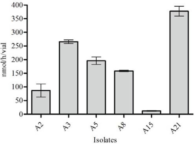 Fig. 4