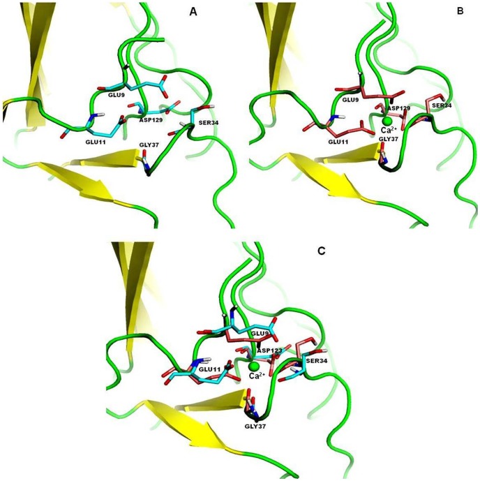 Figure 7