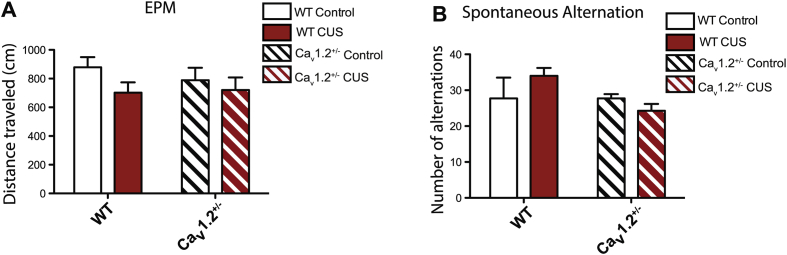 Bavley et al._Supp Figure 1-05