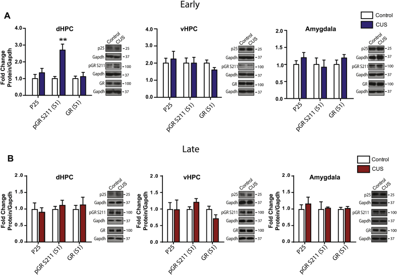 Bavley et al._Supp Figure 2-06