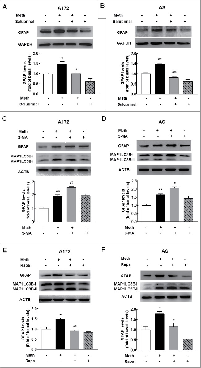 Figure 10.