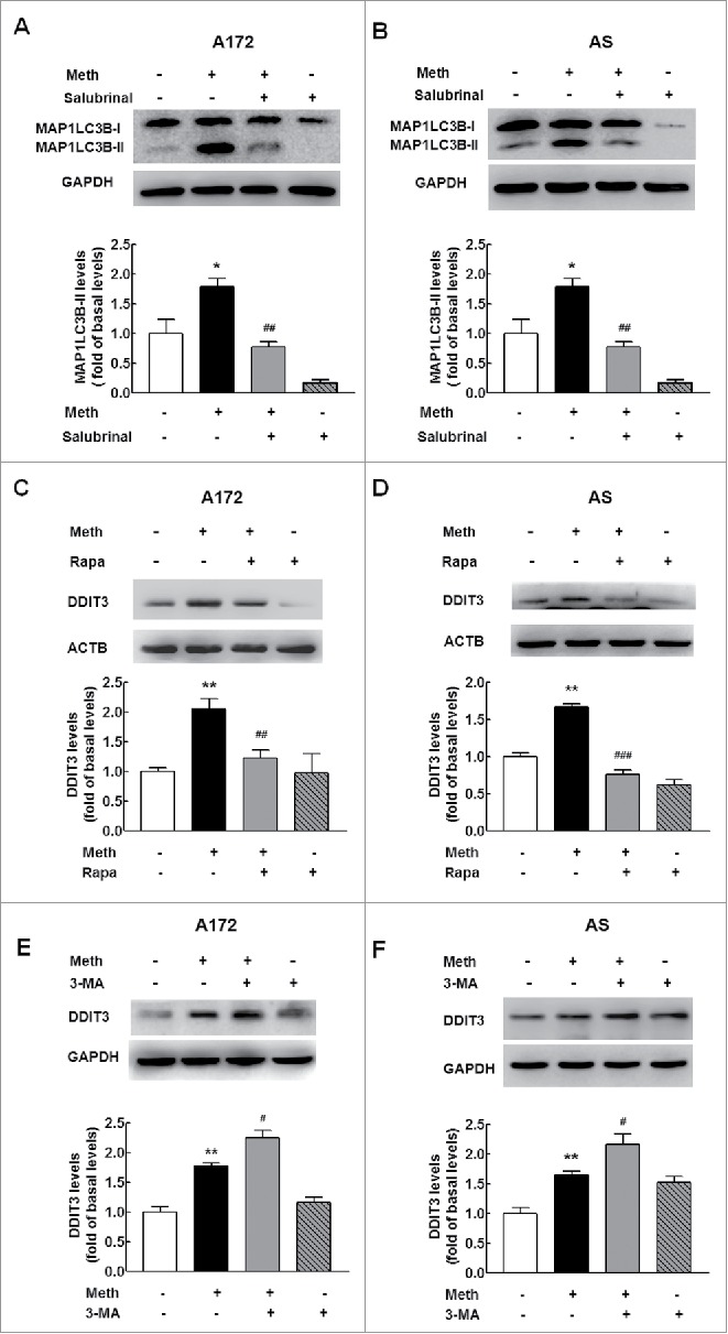 Figure 11.