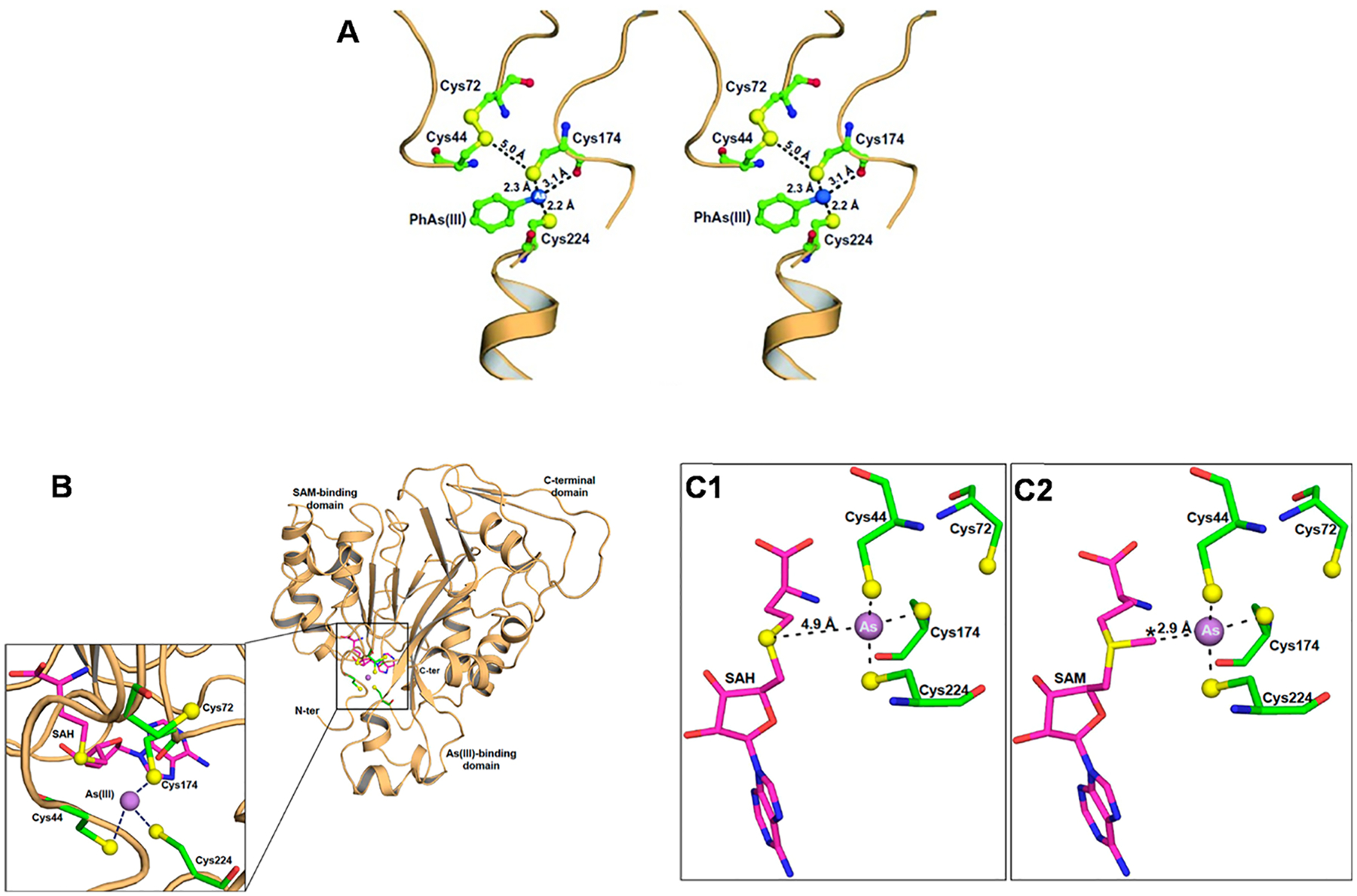 Fig. 6.