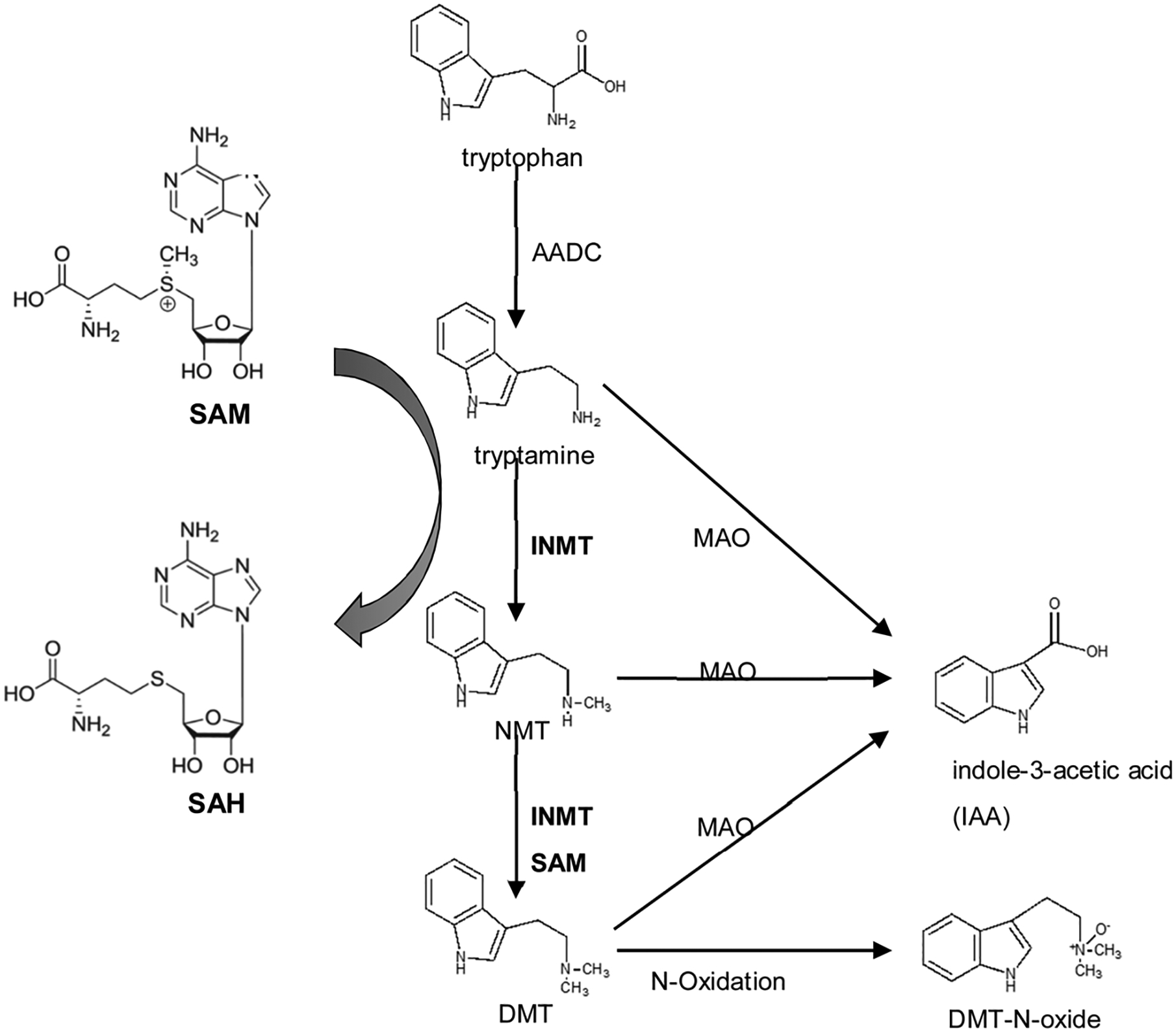 Fig. 4.