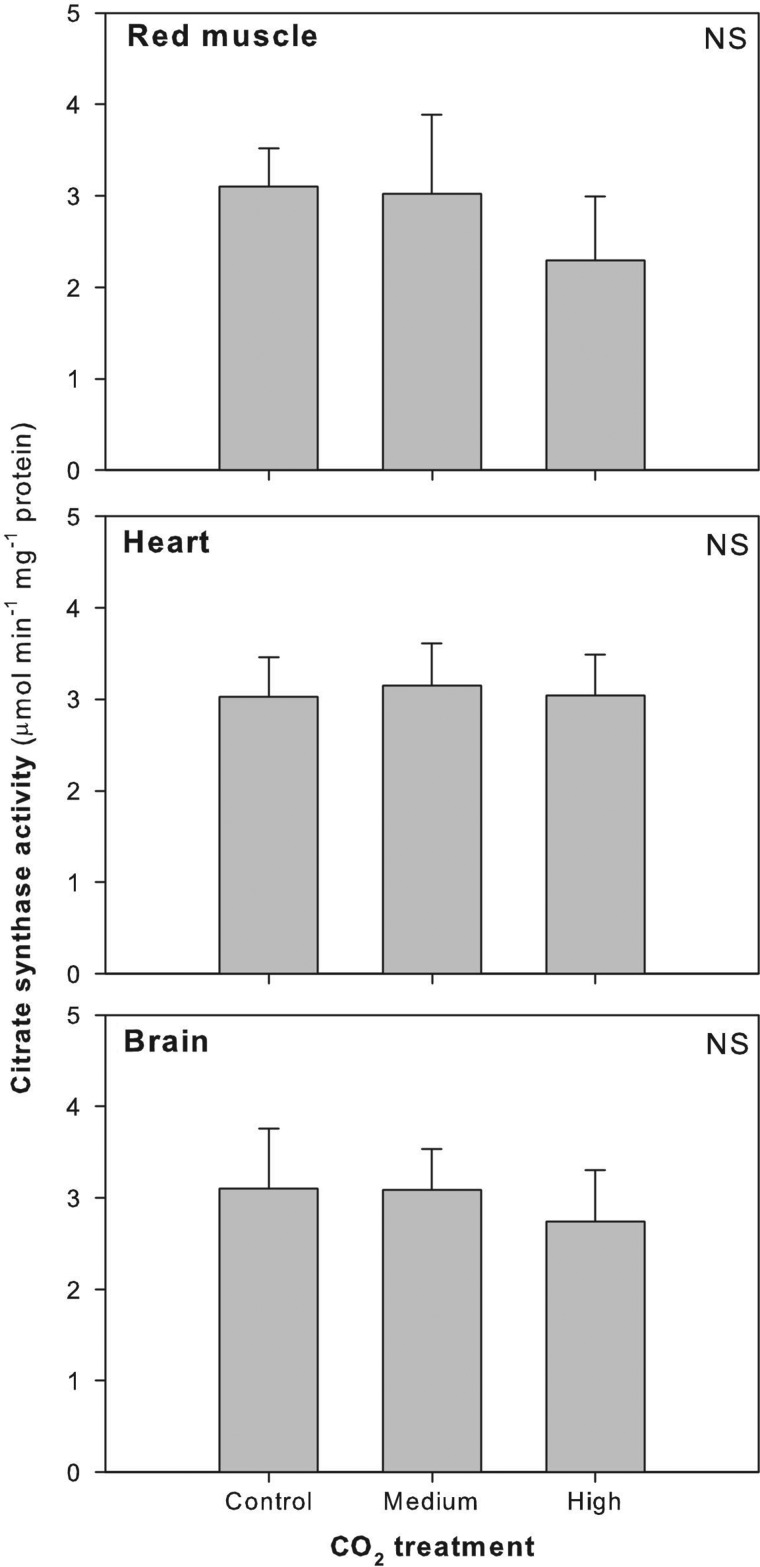 Figure 5: