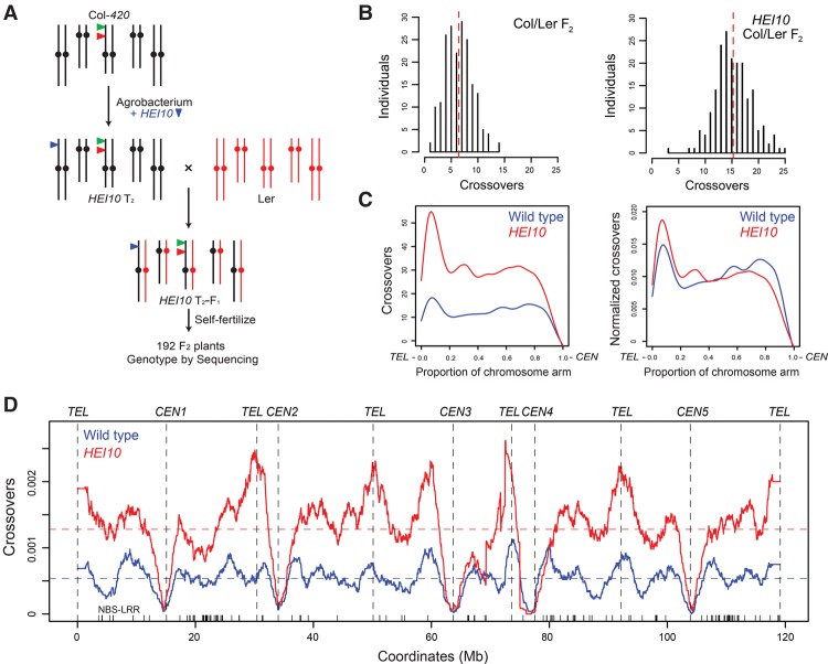 Figure 6.