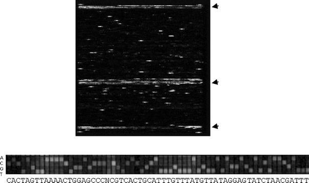 Fig. 15.1.