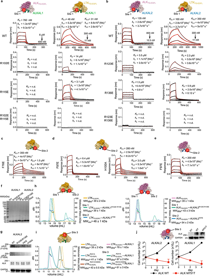 Extended Data Fig. 7 |