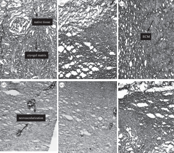 Figure 11.