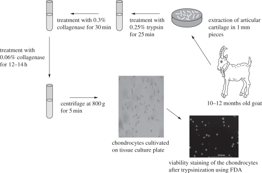 Figure 1.