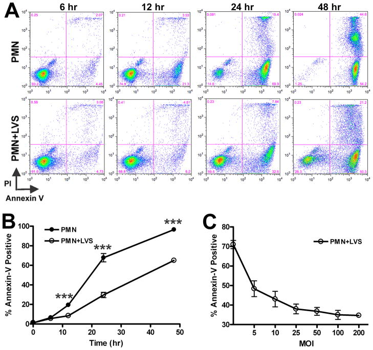 FIGURE 4