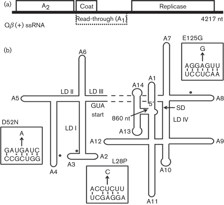 Fig. 1. 