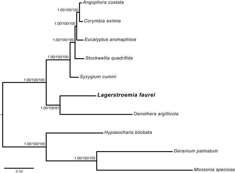 Fig 4