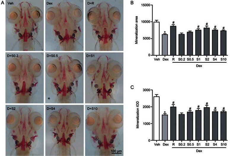 Figure 6