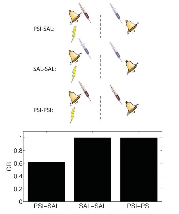 Figure 10.