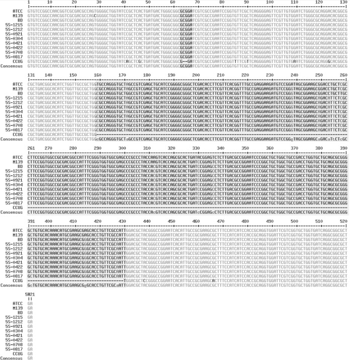 FIG 2