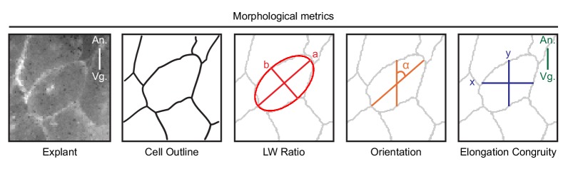 Figure 6—figure supplement 1.