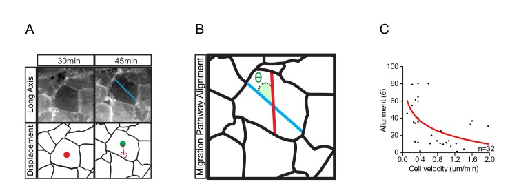 Figure 4—figure supplement 1.