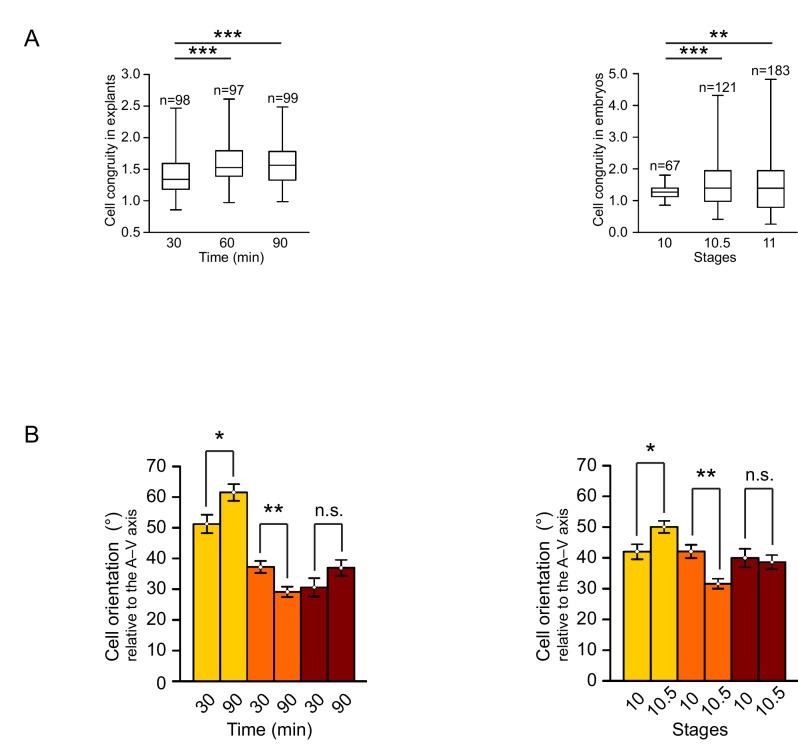 Figure 2—figure supplement 1.