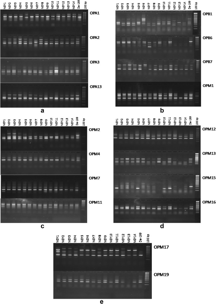 Fig. 3