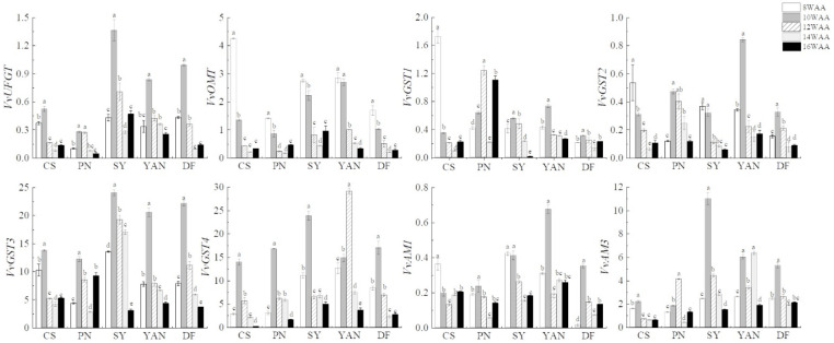 Figure 5