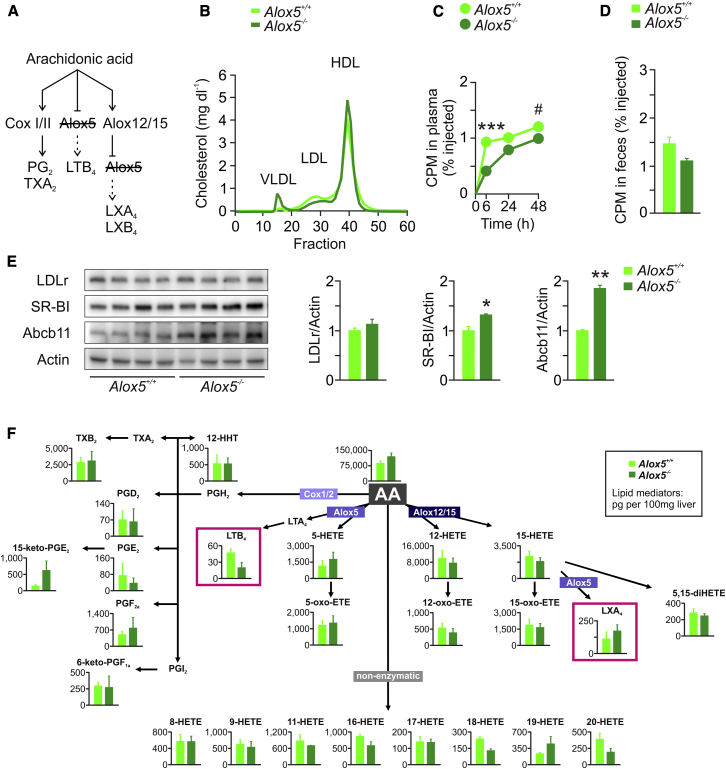 Figure 5