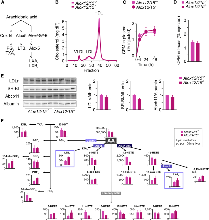 Figure 6