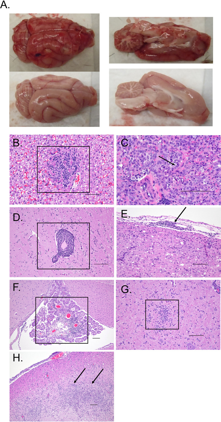 FIG 6