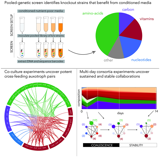 graphic file with name nihms-1732745-f0001.jpg