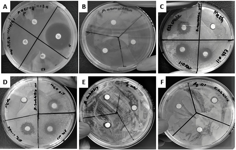 Fig 6