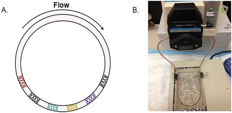 Figure 2: