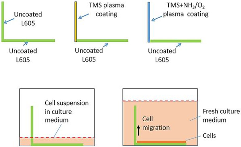 Figure 1: