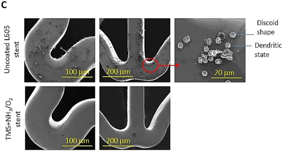 Figure 10: