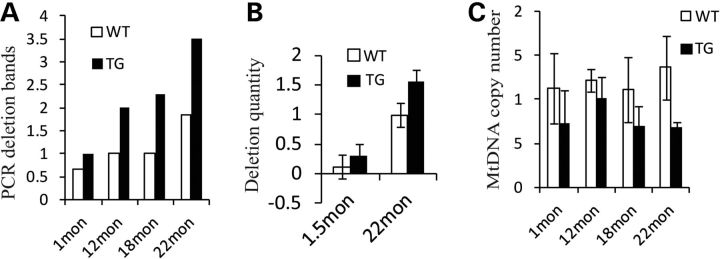 Figure 3.