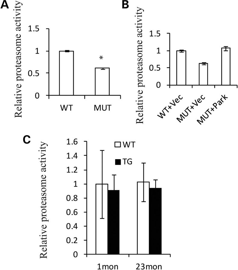 Figure 7.