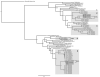 Fig 5