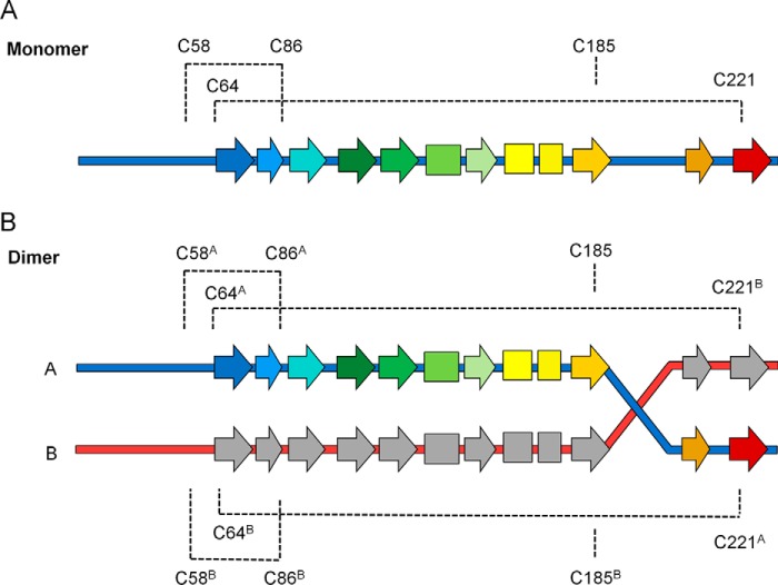 Figure 3.