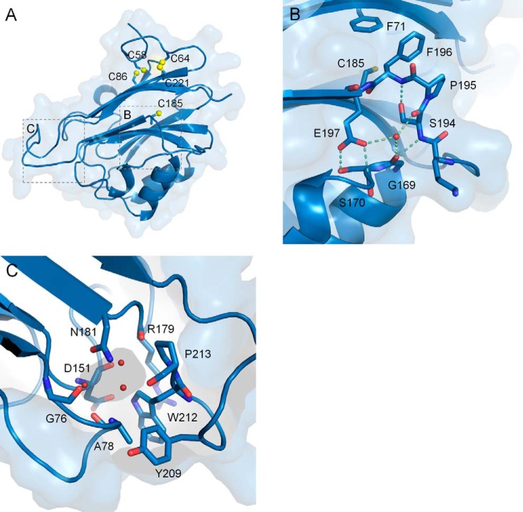 Figure 2.